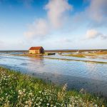 Wpływ twardości wody na powstawanie mikropęknięć i późniejsze straty w instalacjach.